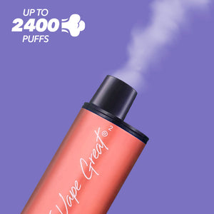 IVG 2400 Rechargeable Vape Kit